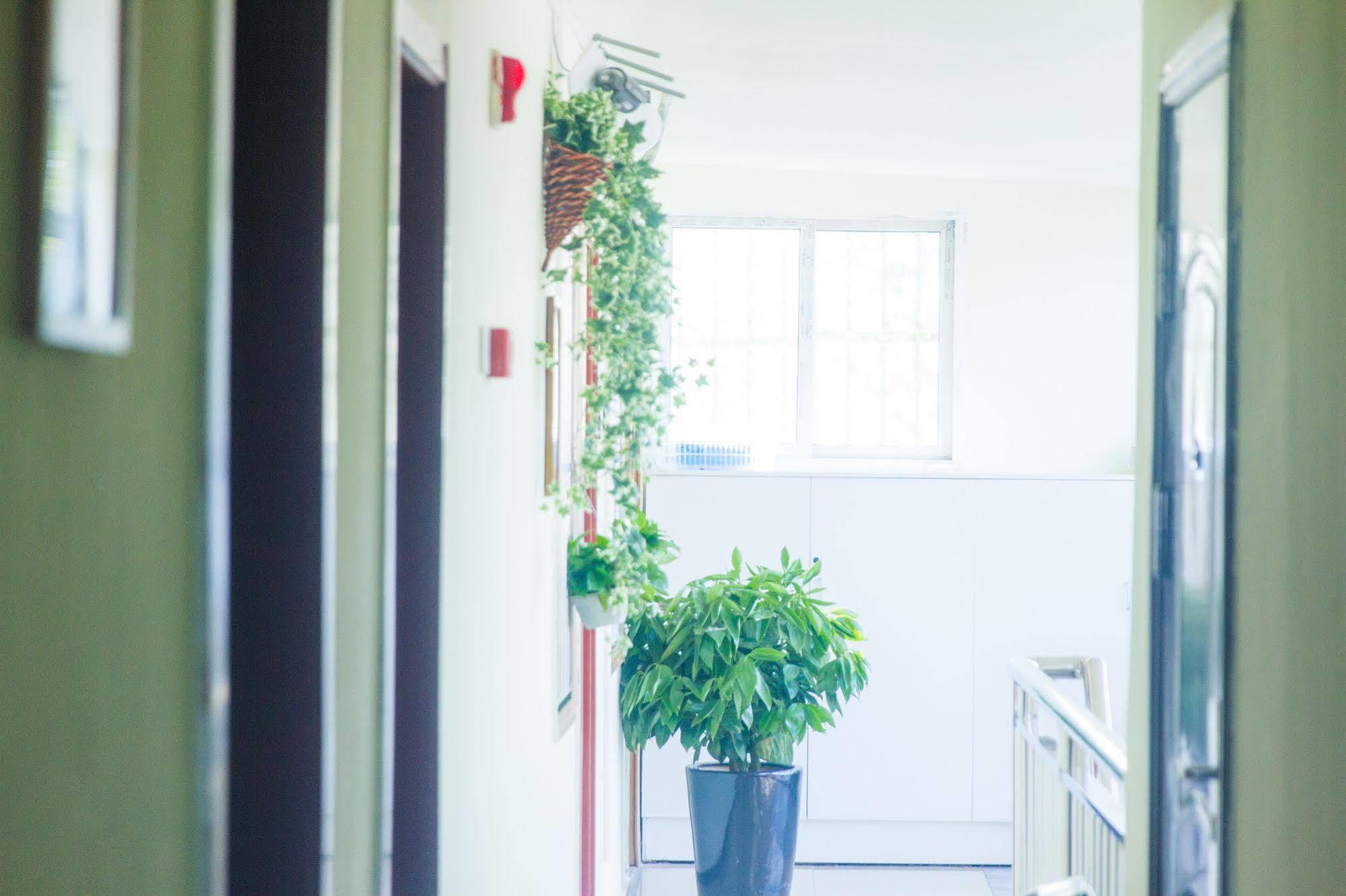 Beijing Alley International Youth Hostel Экстерьер фото